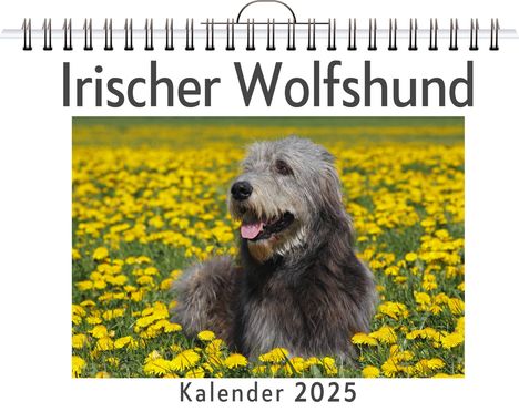 Julia Hartmann: Irischer Wolfshund, Kalender