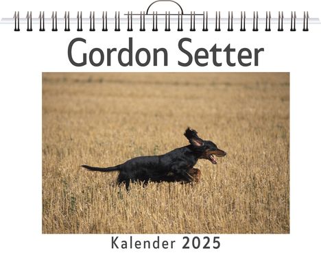 Jakob Schneider: Gordon Setter, Kalender