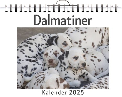 Laura Maier: Dalmatiner, Kalender