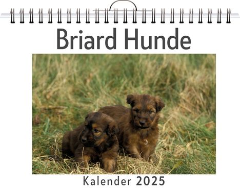 Olivia Frank: Briard Hunde, Kalender