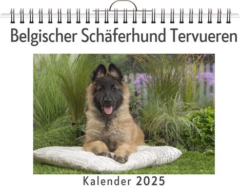 Luca Fuchs: Belgischer Schäferhund Tervueren, Kalender