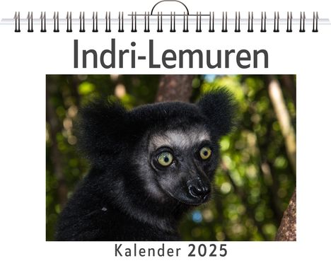 Lucy Hartmann: Indri-Lemuren, Kalender