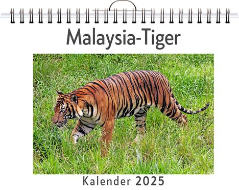 Marie Meyer: Malaysia-Tiger, Kalender