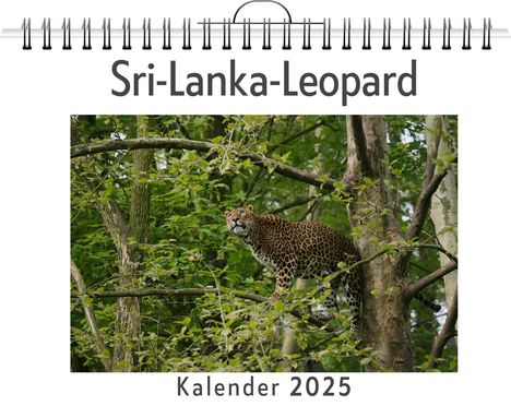 Lily Günther: Sri-Lanka-Leopard, Kalender