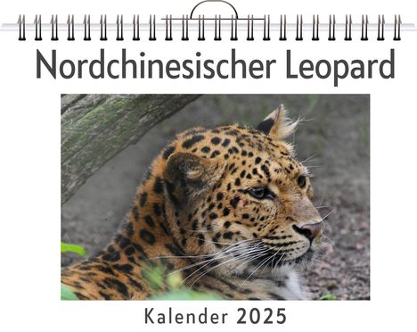 Clara Herrmann: Nordchinesischer Leopard, Kalender