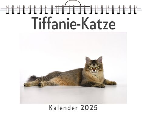 Luisa König: Tiffanie-Katze, Kalender