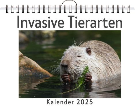 Felix Hofmann: Invasive Tierarten, Kalender