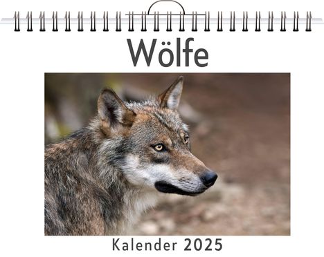 Nele Schmitz: Wölfe, Kalender