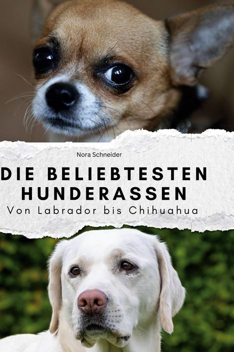 Nora Schneider: Die beliebtesten Hunderassen, Buch