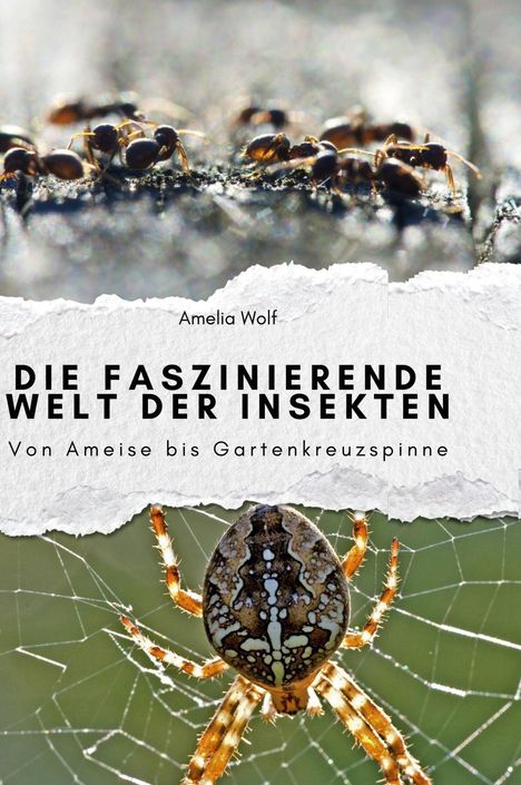 Amelia Wolf: Die faszinierende Welt der Insekten, Buch