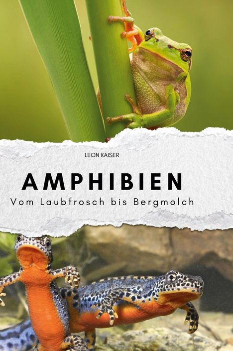 Leon Kaiser: Amphibien, Buch