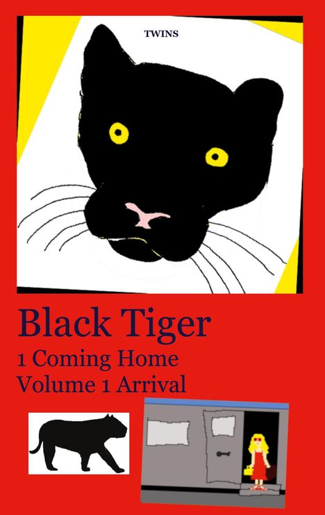 Twins: Black Tiger 1 Coming Home, Buch