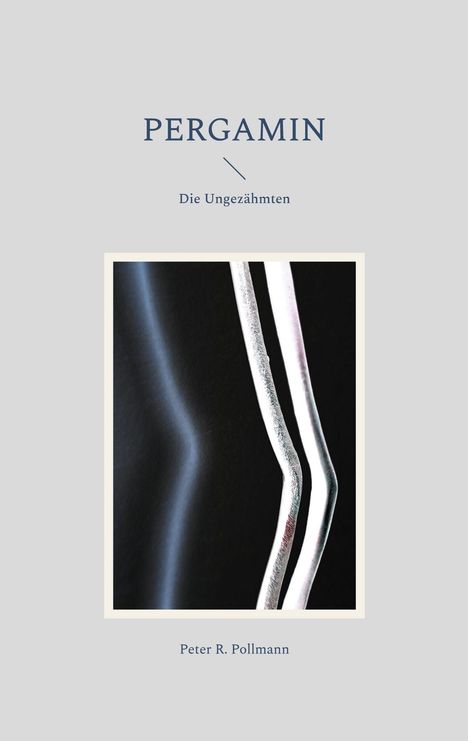 Peter R. Pollmann: Pergamin, Buch