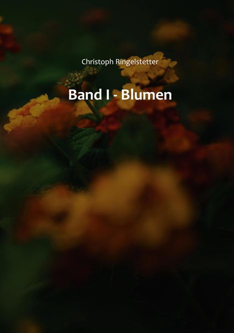 Christoph Ringelstetter: Band I, Buch