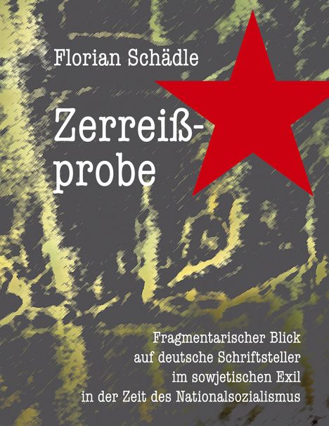 Florian Schädle: Zerreißprobe, Buch