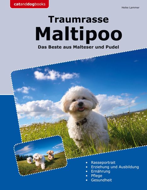 Heike Lammer: Traumrasse Maltipoo, Buch