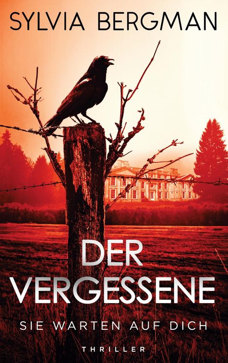 Sylvia Bergman: Der Vergessene, Buch