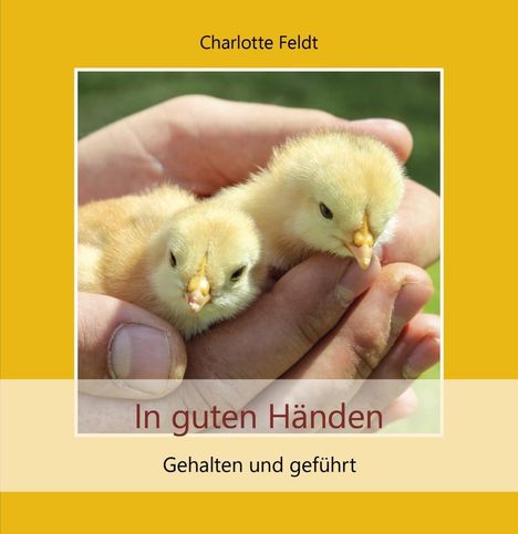 Charlotte Feldt: Feldt, C: In guten Händen, Buch
