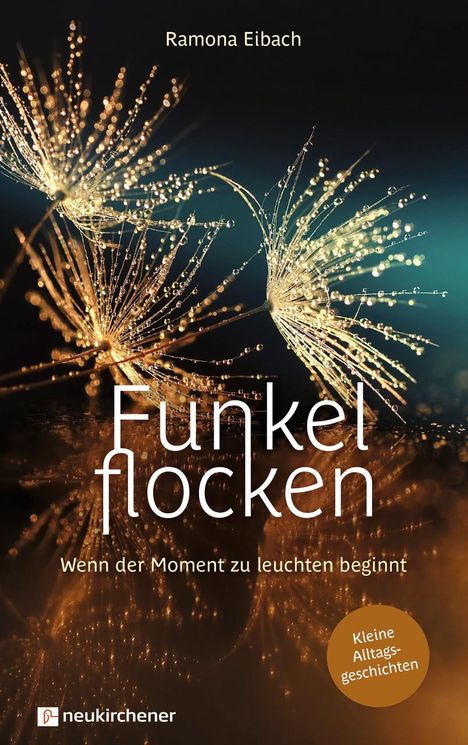 Ramona Eibach: Funkelflocken, Buch