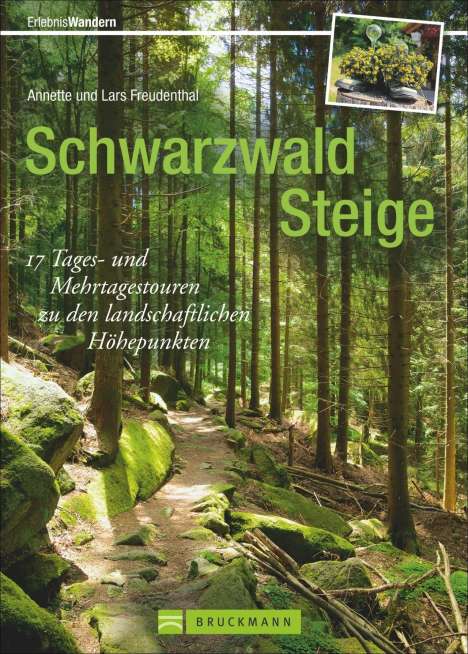 Lars Freudenthal: Freudenthal, L: Schwarzwald Steige, Buch