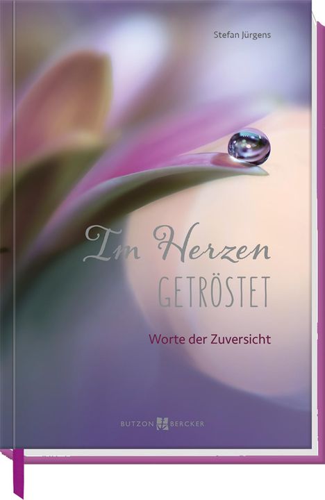 Stefan Jürgens: Im Herzen getröstet, Buch