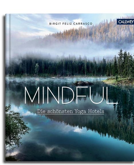 Birgit Feliz Carrasco: Mindful, Buch
