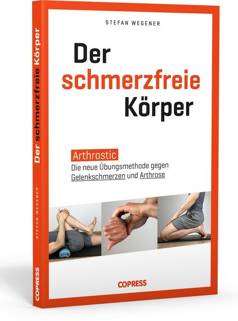 Stefan Wegener: Der schmerzfreie Körper, Buch