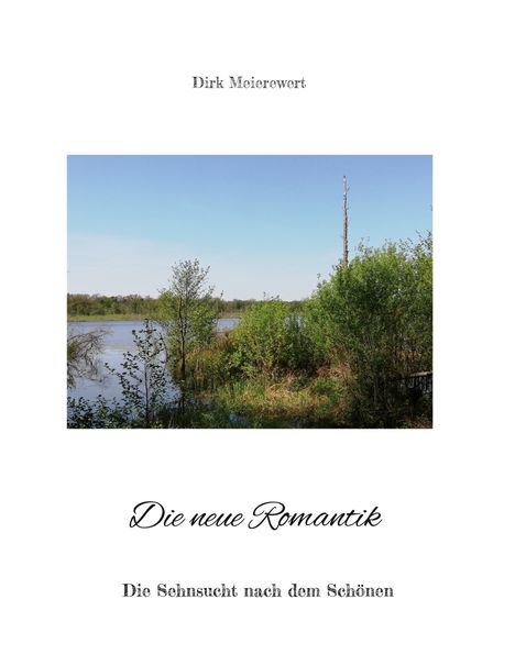 Dirk Meierewert: Die neue Romantik, Buch