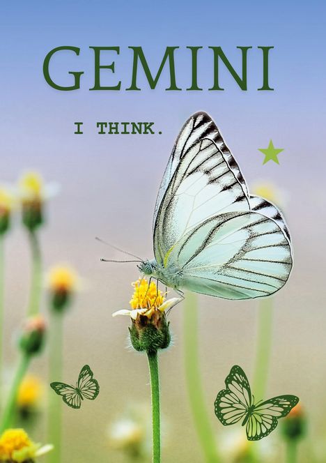 Juliette Griffin: Gemini, Buch