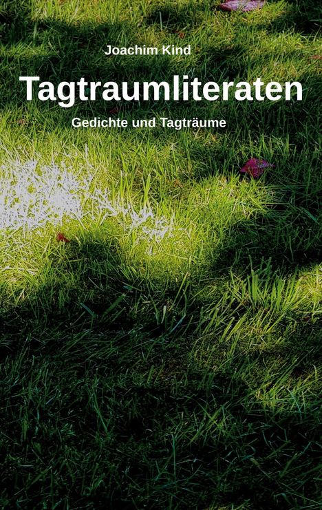Joachim Kind: Tagtraumliteraten, Buch