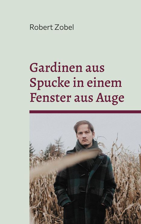 Robert Zobel: Gardinen aus Spucke in einem Fenster aus Auge, Buch