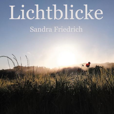 Sandra Friedrich: Lichtblicke, Buch