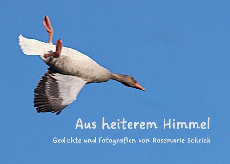 Rosemarie Schrick: Aus heiterem Himmel, Buch