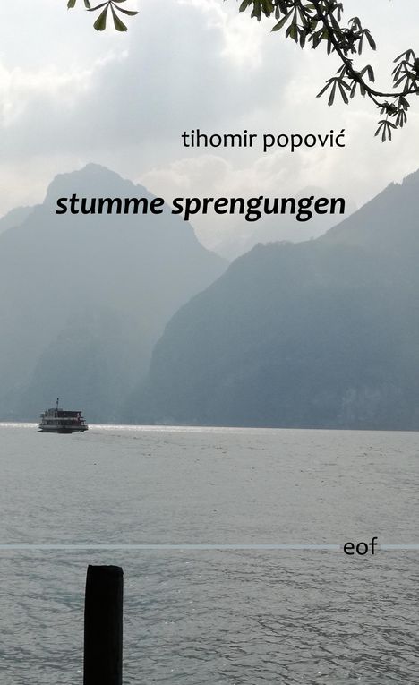 Tihomir Popovic: stumme sprengungen, Buch
