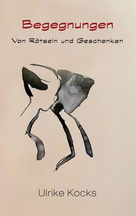 Ulrike Kocks: Begegnungen - Von Rätseln und Geschenken, Buch