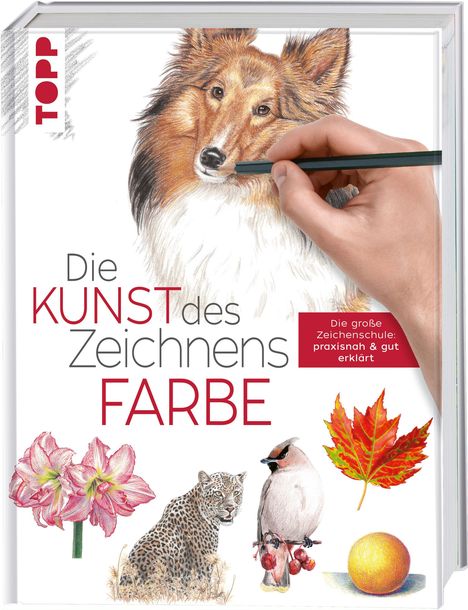 Frechverlag: Frechverlag: Kunst des Zeichnens Farbe, Buch