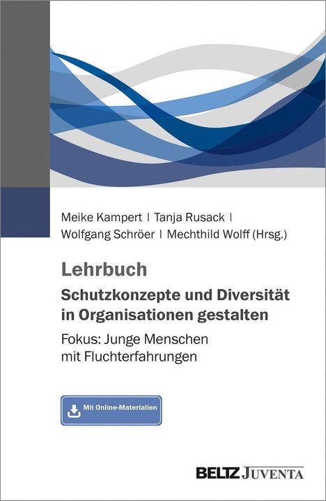 Lehrbuch Schutzkonzepte und Diversität in Organisationen gestalten, Buch