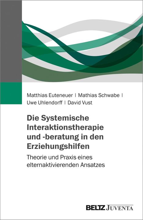 Matthias Euteneuer: Die Systemische Interaktionstherapie und -beratung in den Erziehungshilfen, Buch
