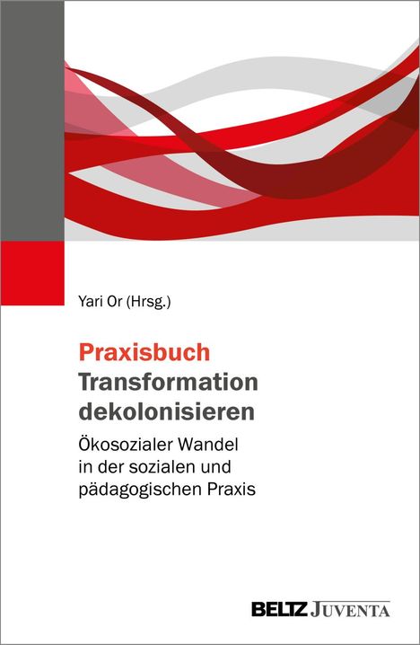 Praxisbuch Transformation dekolonisieren, Buch