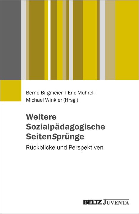 Weitere Sozialpädagogische SeitenSprünge, Buch