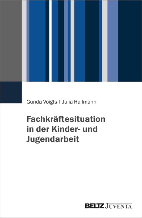 Gunda Voigts: Fachkräftesituation in der Kinder- und Jugendarbeit, Buch