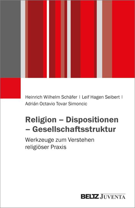 Heinrich Wilhelm Schäfer: Religion - Dispositionen - Gesellschaftsstruktur, Buch