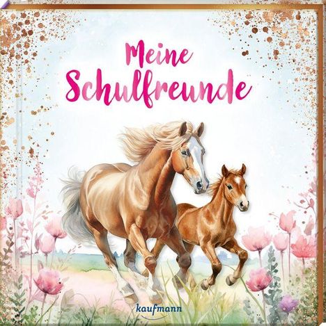 Meine Schulfreunde, Buch