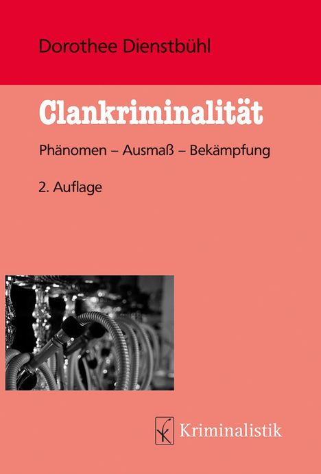 Dorothee Dienstbühl: Clankriminalität, Buch