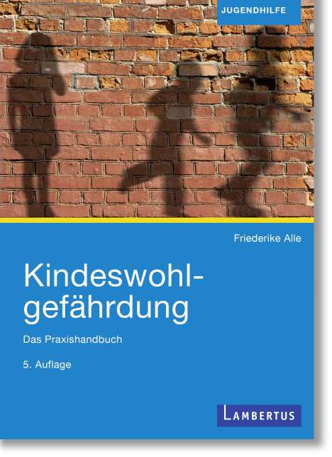 Friederike Alle: Kindeswohlgefährdung, Buch
