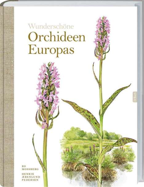 Bo Mossberg: Wunderschöne Orchideen Europas, Buch