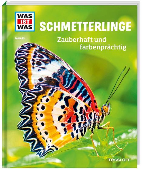 Nicole Röndigs: WAS IST WAS Band 43. Schmetterlinge. Zauberhaft und farbenprächtig, Buch