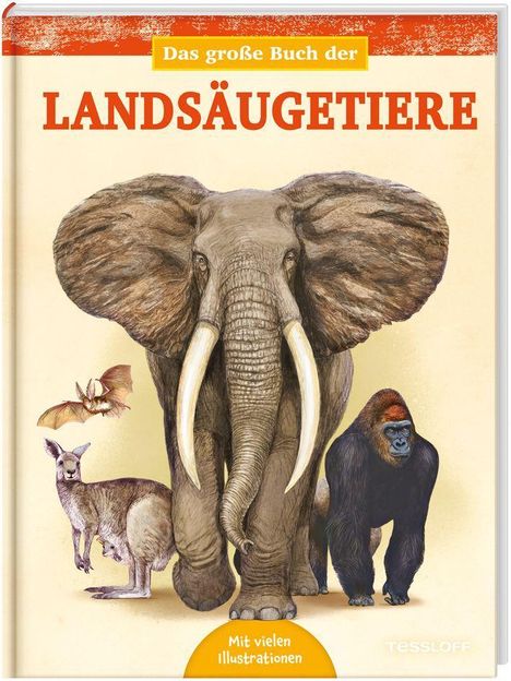 Juan Carlos Alonso: Alonso, J: Das große Buch der Landsäugetiere, Buch
