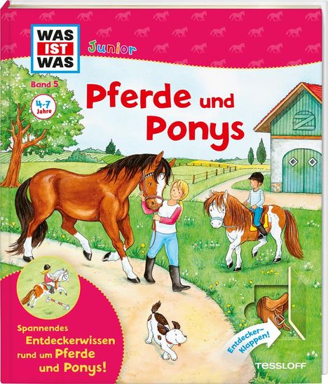 Christina Braun: WAS IST WAS Junior Band 5. Pferde und Ponys, Buch