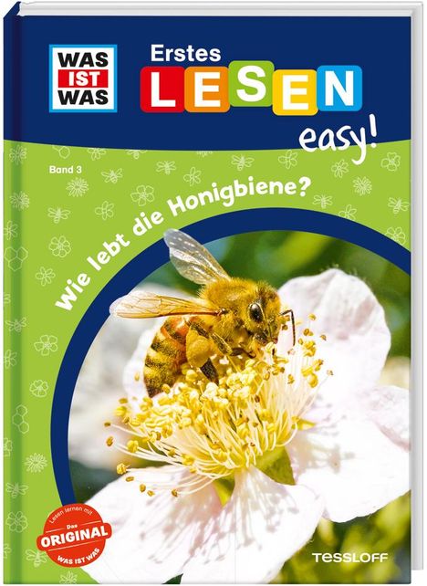 Sonja Meierjürgen: WAS IST WAS Erstes Lesen easy! Band 3. Wie lebt die Honigbiene?, Buch